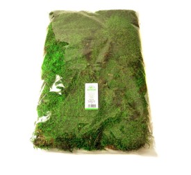 MUSGO PLANO VERDE EN BOLSA