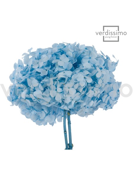 PREMIUM HYDRANGEA LIGHT BLUE