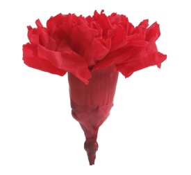 CARNATION RED 6 UD