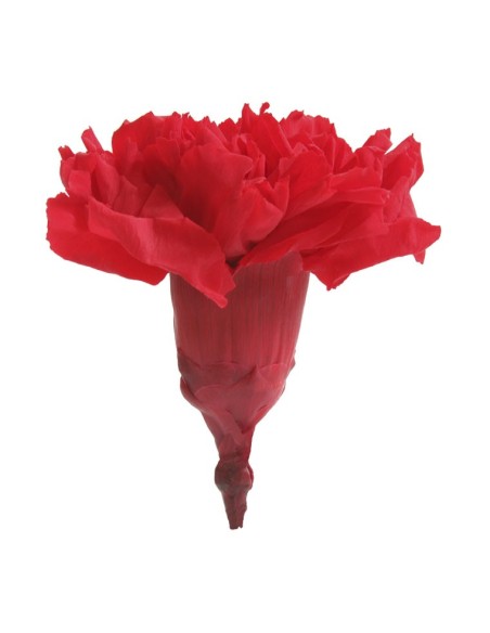 CARNATION RED 6 UD