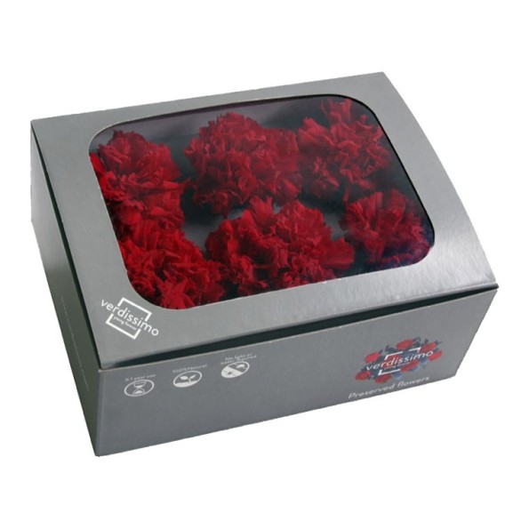CARNATION RED 6 UD