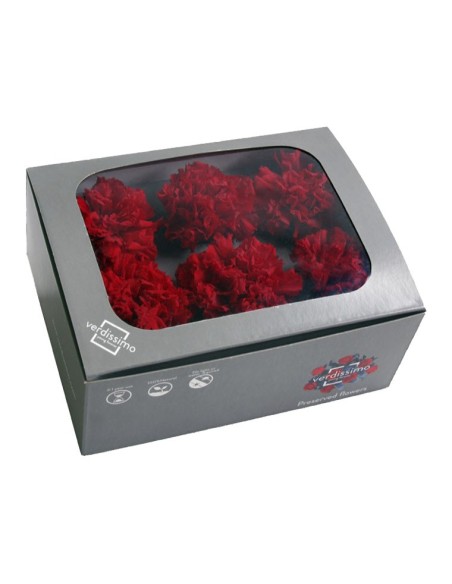 CARNATION RED 6 UD