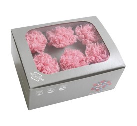 CARNATION PASTEL PINK 6 UD