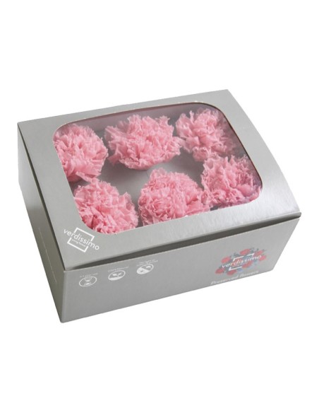 CARNATION PASTEL PINK 6 UD