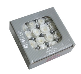 ROSA PINCESS WHITE 16UD