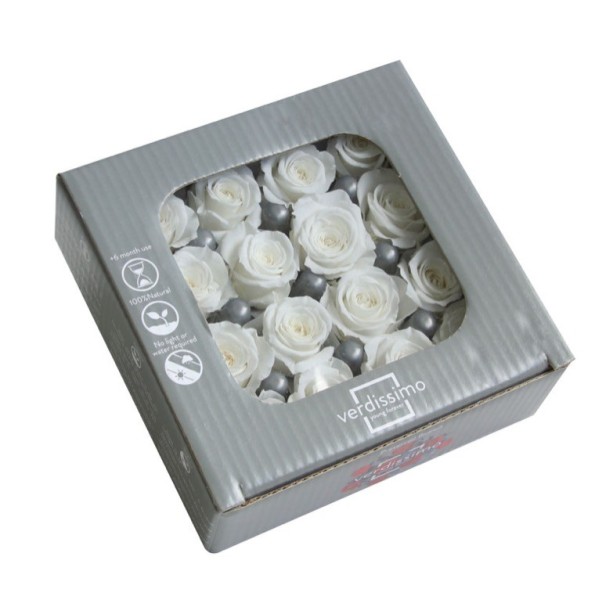 ROSA PINCESS WHITE 16UD