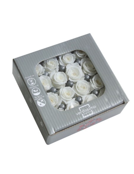 ROSA PINCESS WHITE 16UD