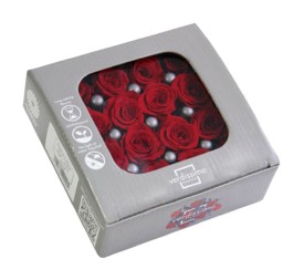 ROSE PRINCESS RED 16UD