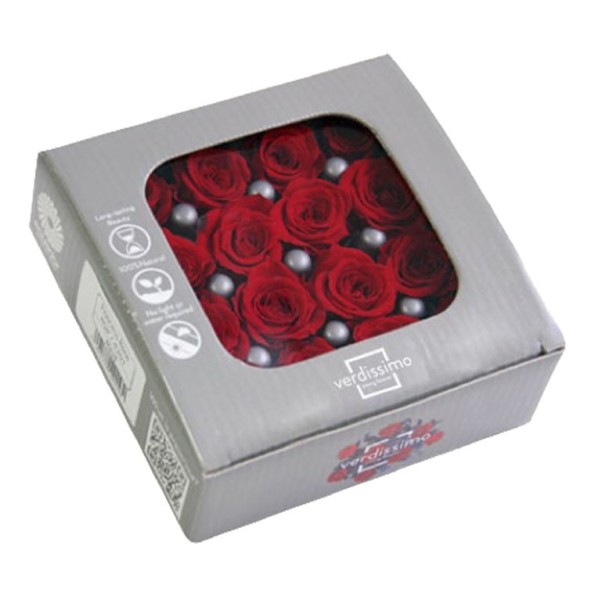 ROSE PRINCESS RED 16UD