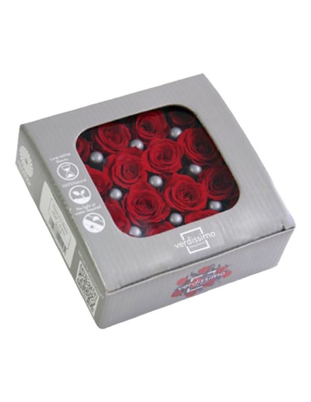 ROSE PRINCESS RED 16UD