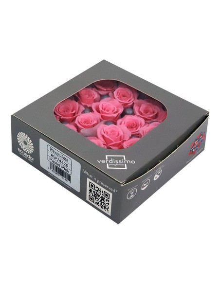 ROSE PRINCESS PASTEL PINK 16UD