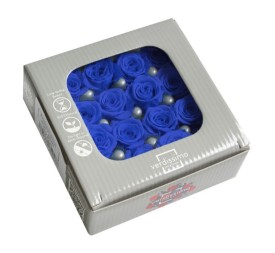 ROSE PRINCESS DARK BLUE 16 UD