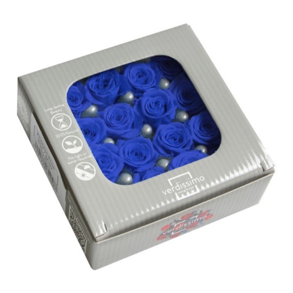 ROSE PRINCESS DARK BLUE 16 UD