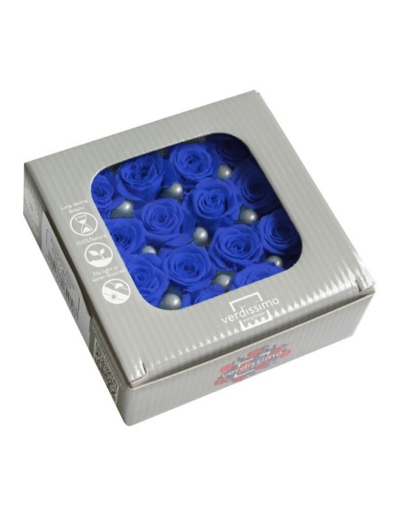 ROSE PRINCESS DARK BLUE 16 UD