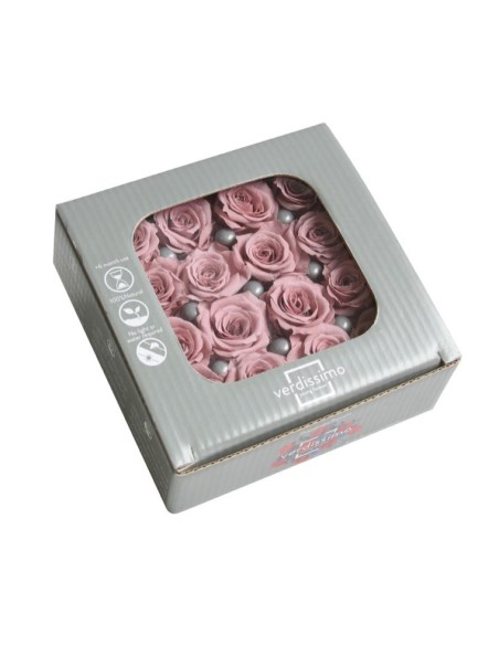 ROSE PRONCESS CHERRY VINTAGE 16UD
