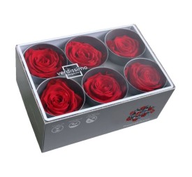 ROSE STANDARD W- BOX 6 RED