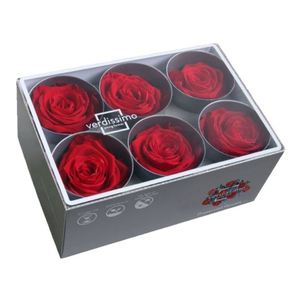 ROSE STANDARD W- BOX 6 RED