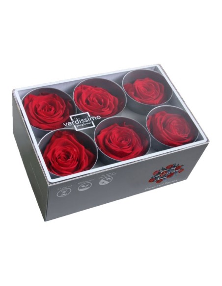 ROSE STANDARD W- BOX 6 RED