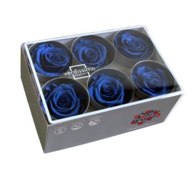 ROSE STANDARD W-BOX DARK BLUE