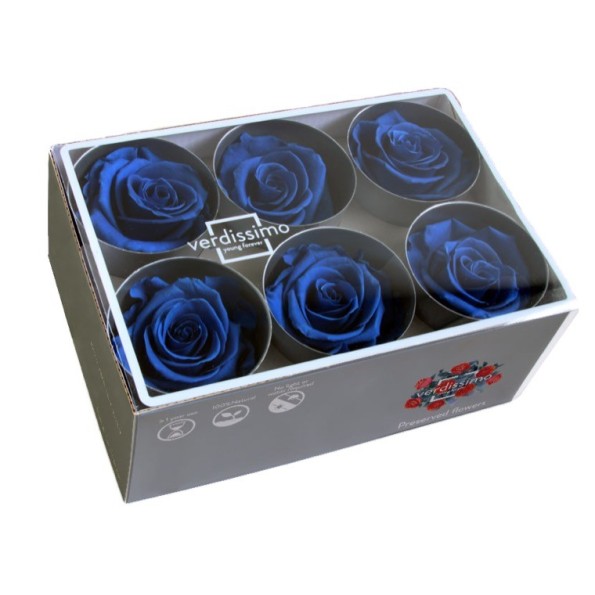 ROSE STANDARD W-BOX DARK BLUE