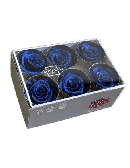 ROSE STANDARD W-BOX DARK BLUE