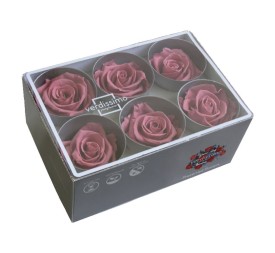 ROSE STANDARD W-BOX CHERRY VINTAGE