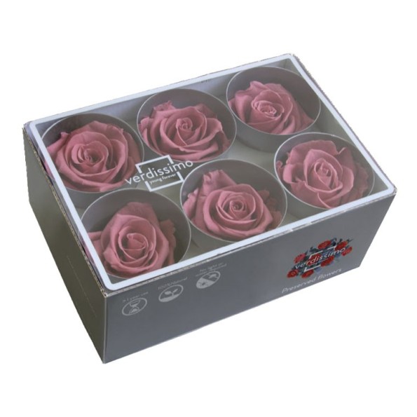 ROSE STANDARD W-BOX CHERRY VINTAGE