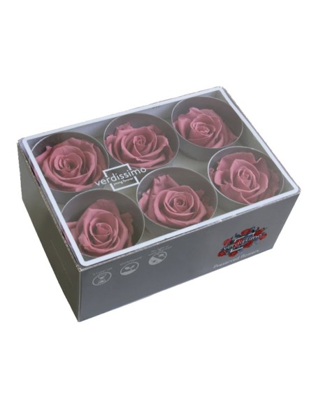 ROSE STANDARD W-BOX CHERRY VINTAGE