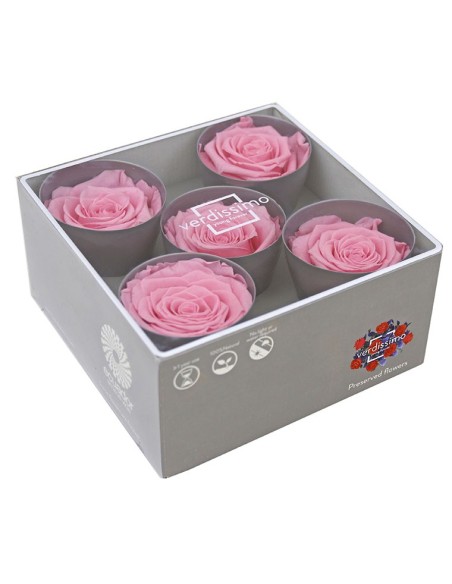 ROSE QUEEN PASTEL PINK 5 UD