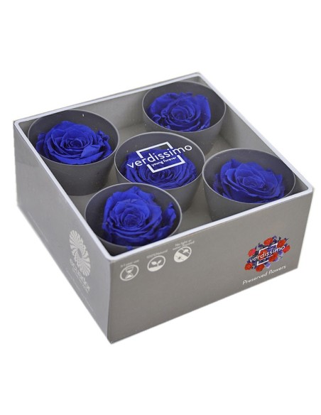 ROSE QUEEN DARK BLUE