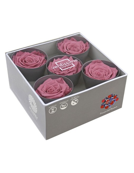 ROSE QUEEN CHERRY VINTAGE 5UD