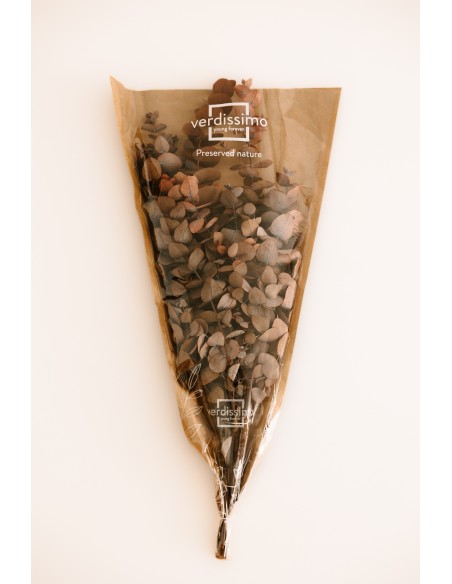 CINEREA AUTUMNAL MOCHA COCOA 50/80