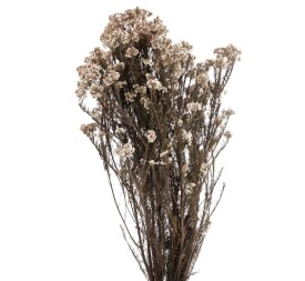 H. DIOSMI NATURAL WHITE 30/60