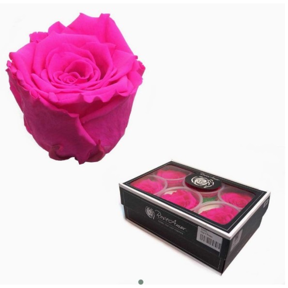 CAJA 6 ROSAS PRESERVADAS ROSE AMOR FUCSIA