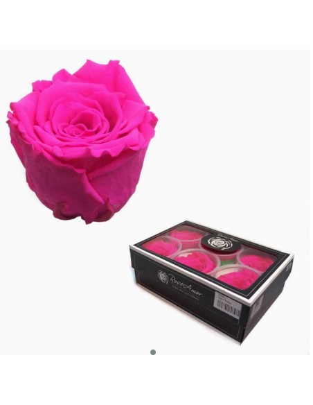 CAJA 6 ROSAS PRESERVADAS ROSE AMOR FUCSIA