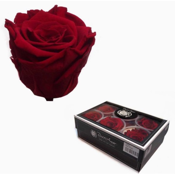 CAJA 6 ROSAS PRESERVADAS ROSE AMOR ROJA