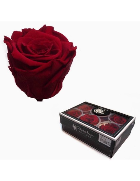CAJA 6 ROSAS PRESERVADAS ROSE AMOR ROJA