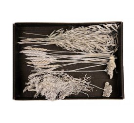 DRIED FLOWERS MIX TRAY 38x26x5cm WHITE-WASH