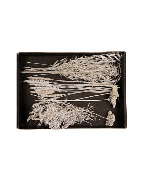 DRIED FLOWERS MIX TRAY 38x26x5cm WHITE-WASH
