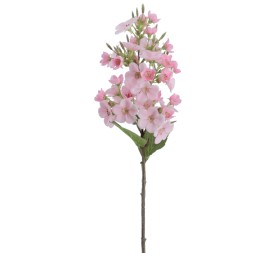 JAZMIN 46 CMS   2168-12