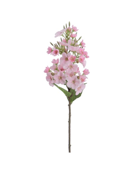 JAZMIN 46 CMS   2168-12