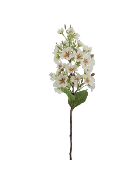 JAZMIN 46 CMS   2168-53