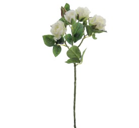 ROSITAS x 5 48 CMS    2503-01