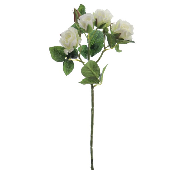 ROSITAS x 5 48 CMS    2503-01