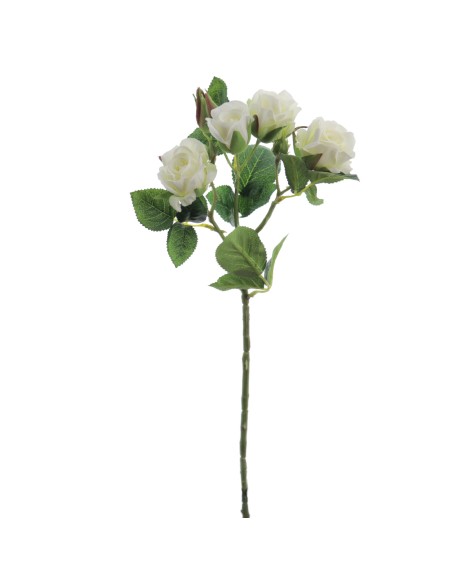 ROSITAS x 5 48 CMS    2503-01