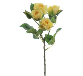 ROSITAS x 5 48 CMS (2503-12)