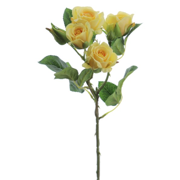 ROSITAS x 5 48 CMS (2503-12)
