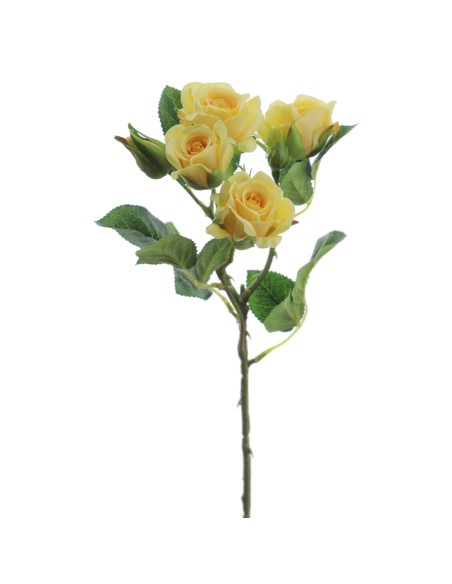 ROSITAS x 5 48 CMS (2503-12)
