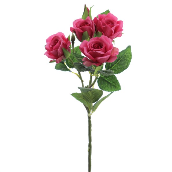 ROSITAS x 5 48 CMS   2503-07