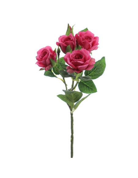 ROSITAS x 5 48 CMS   2503-07